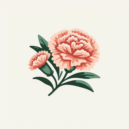 Carnation flower vector illustration. Hand drawn pink carnation.のイラスト素材