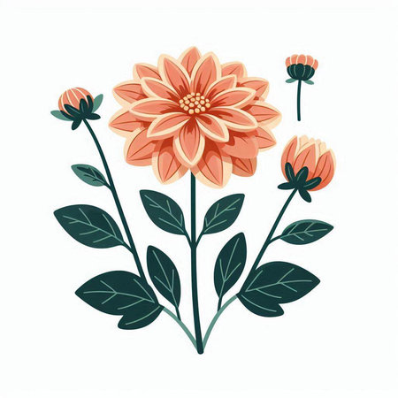 Dahlia flower isolated on white background. Hand drawn vector illustration.のイラスト素材