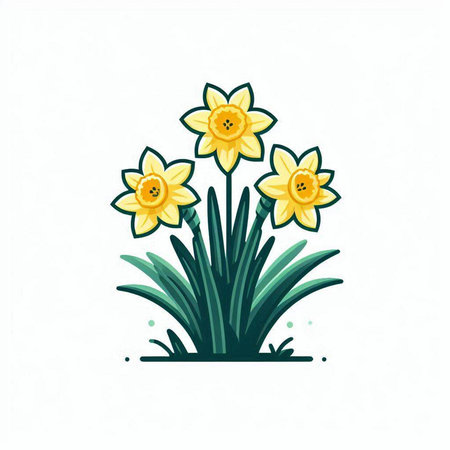 Narcissus. Spring flowers. Hand drawn vector illustration.のイラスト素材