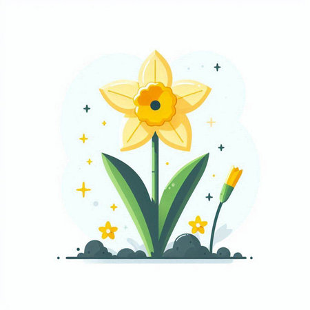 Flower narcissus. Vector illustration in a flat style on a white background.のイラスト素材