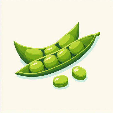 Fresh green peas on a light background. Vector illustration of peas.のイラスト素材