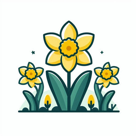 Flower narcissus. Daffodil. Vector illustration.のイラスト素材