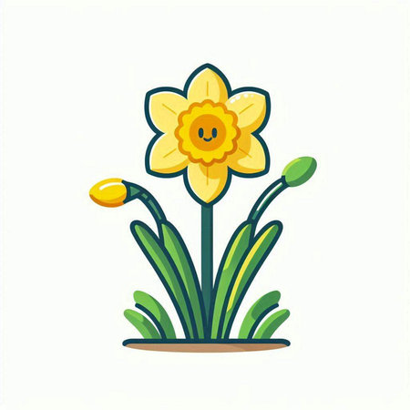 Narcissus flower isolated on white background. Vector illustration.のイラスト素材