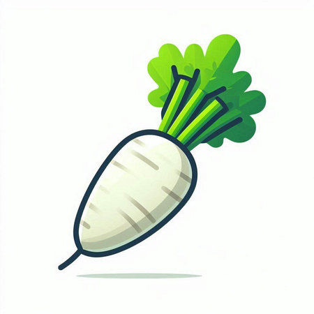 Radish vector illustration isolated on white background. Radish icon.のイラスト素材