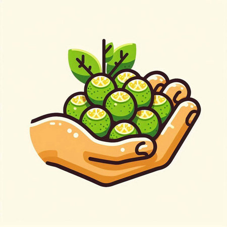 Illustration of hand holding fresh lime fruits with green leaves - vectorのイラスト素材