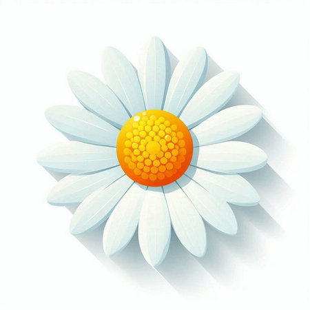 Daisy flower on white background. Vector illustration. Eps 10.のイラスト素材