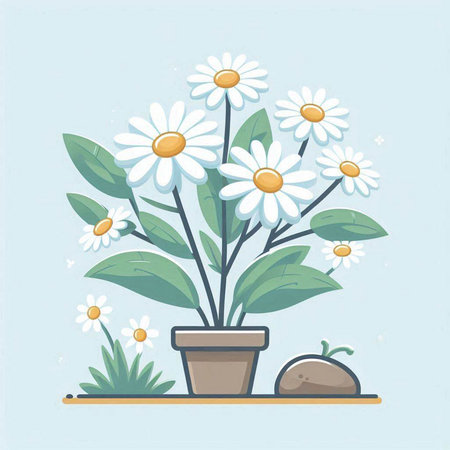 Bouquet of daisies in a pot. Vector illustration.のイラスト素材