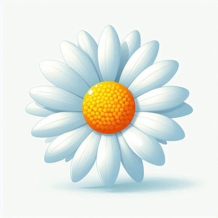 Illustration of a daisy flower on a white background - vectorのイラスト素材