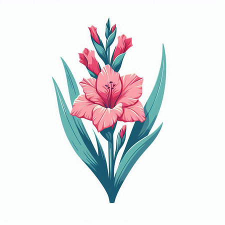 Beautiful pink gladiolus flowers on white background. Vector illustration.のイラスト素材