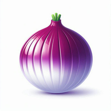 Illustration of purple onion on a white background. File contains clipping path.のイラスト素材