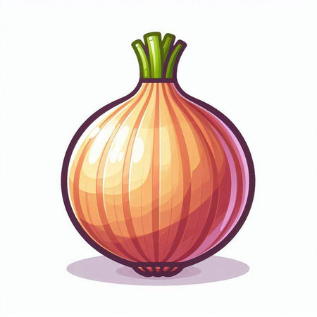Illustration of a onion on a white background. Vector illustration.のイラスト素材