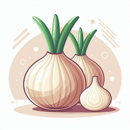 Illustration of fresh onion on a white background. Vector illustration.のイラスト素材