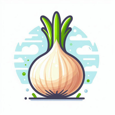 Illustration of onion on white background. Vector illustration in flat style.のイラスト素材