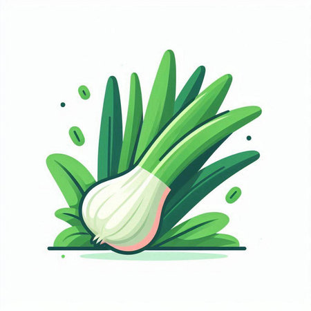 Vector illustration of green onion on white background. Vegetable icon.のイラスト素材