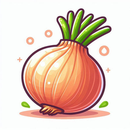 Illustration of a fresh onion on white background. Vector illustration.のイラスト素材