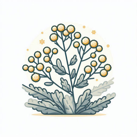 Chamomile flower vector illustration. Hand drawn medicinal plant.のイラスト素材