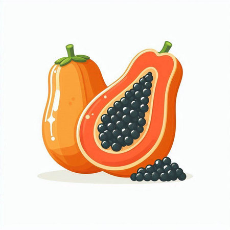 Papaya fruit isolated on white background. Vector cartoon illustration.のイラスト素材