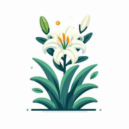 Lily flower isolated on white background. Flat style vector illustration.のイラスト素材