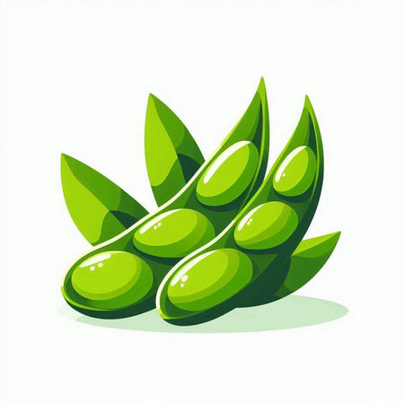 Green soybeans on a white background. Vector illustration. Eps 10のイラスト素材