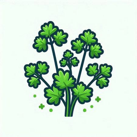 Parsley vector illustration. Isolated on a white background.のイラスト素材