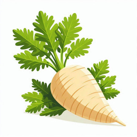 Carrot with green leaves isolated on white background. Vector illustration.のイラスト素材