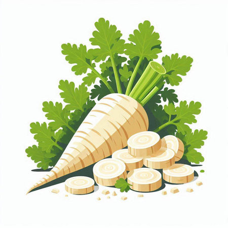 Carrot and parsley isolated on white background. Vector illustration.のイラスト素材