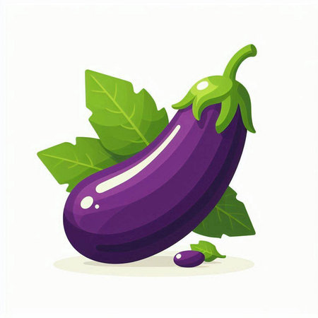 Eggplant with leaves on a white background. Vector illustration.のイラスト素材