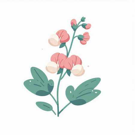Vector illustration of sweet pea flowers isolated on white background. Hand drawn botanical illustration.のイラスト素材