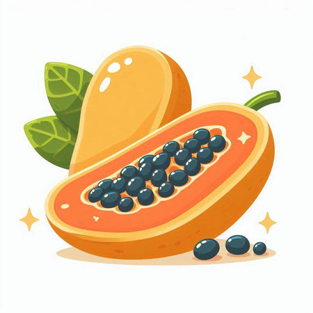 Papaya fruit vector illustration isolated on white background. Vector illustration.のイラスト素材
