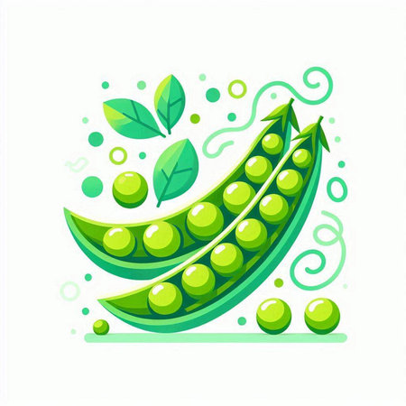 Green peas with green leaves on a white background. Vector illustration.のイラスト素材