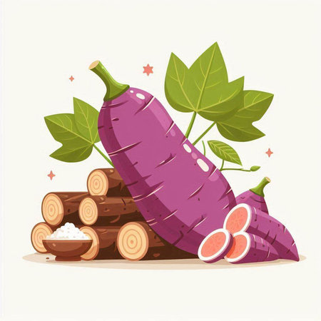 Purple sweet potato isolated on white background. Vegetarian food vector illustration.のイラスト素材