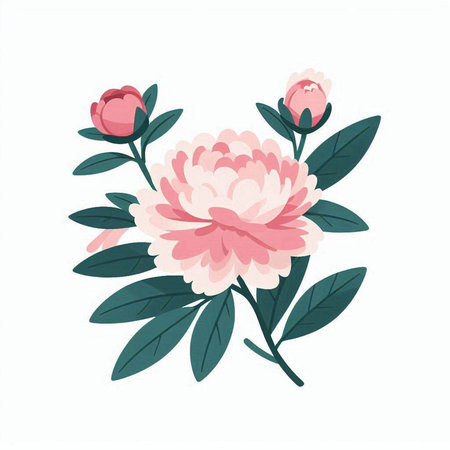 Pink peony with green leaves isolated on white background, vector illustrationのイラスト素材