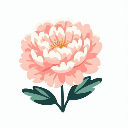Peony flower isolated on white background. Hand drawn vector illustration.のイラスト素材