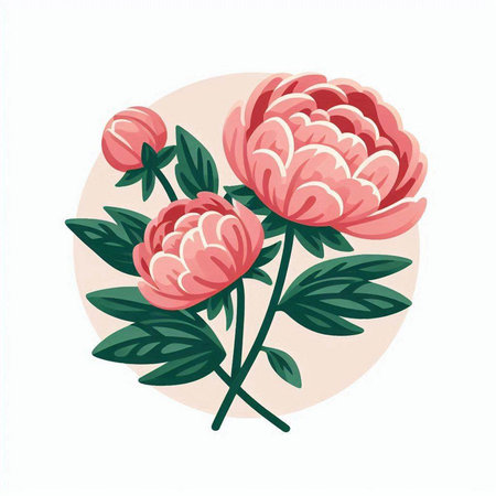 Hand drawn vector illustration of pink peony flowers, buds and leaves.のイラスト素材