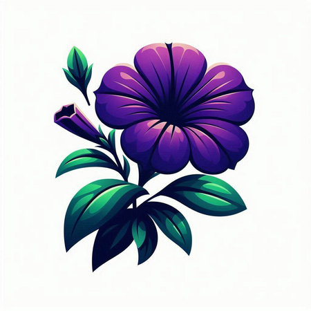 Illustration of purple hibiscus flower on white background.のイラスト素材