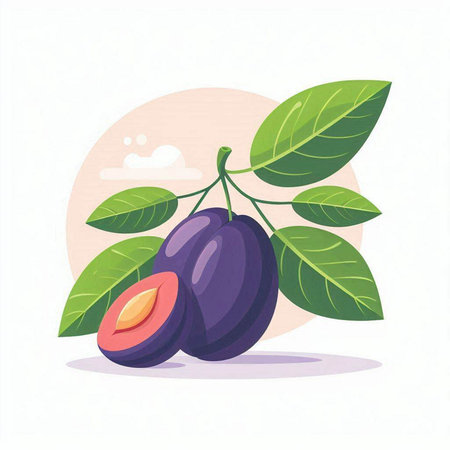 Plum vector illustration. Fresh ripe plums on a branch.のイラスト素材