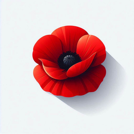 Red poppy on a white background. Vector illustration. Eps 10.のイラスト素材