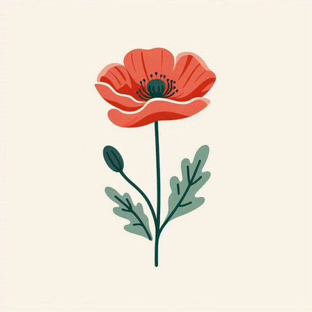 Red poppies. Hand drawn vector illustration isolated on white background.のイラスト素材