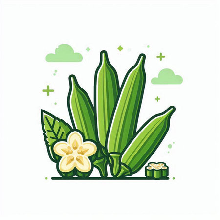 Okra or Okra with leaf and flower. Vector illustration.のイラスト素材