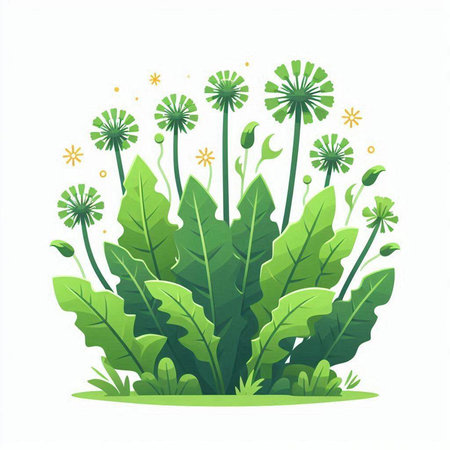 Green grass and dandelions on white background. Vector illustration.のイラスト素材