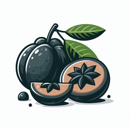 Whole and half plum fruit with leaves and anise. Vector illustration.のイラスト素材