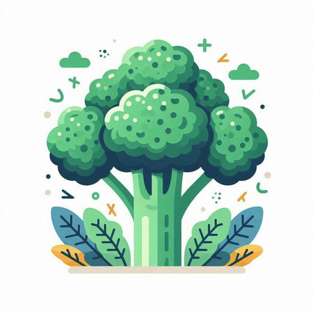 Broccoli flat vector illustration. Broccoli on white background. Vegetarian food.のイラスト素材
