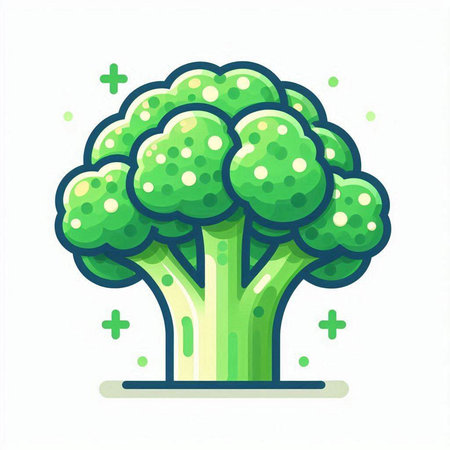 Vector illustration of fresh broccoli. Isolated on a white background.のイラスト素材