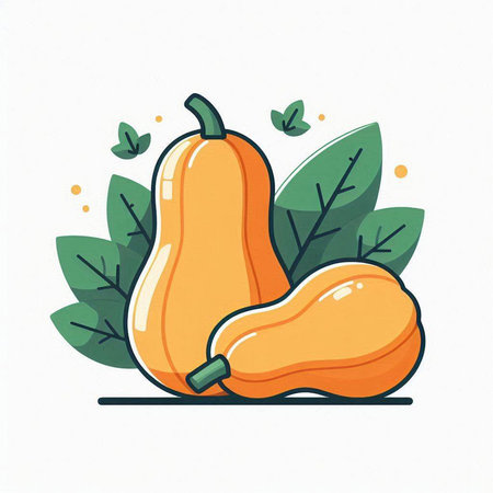 Pumpkin vector illustration. Cucurbita moschata.のイラスト素材