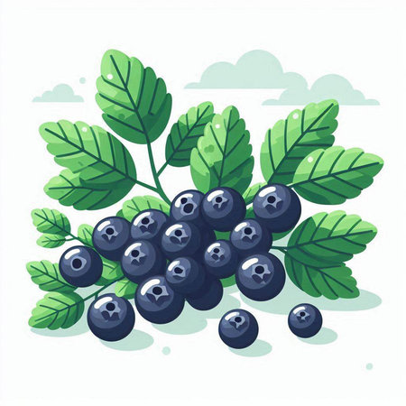 Bunch of ripe blueberries with green leaves. Vector illustration.のイラスト素材