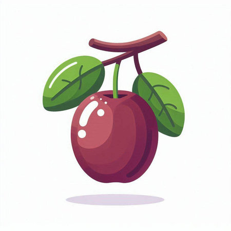 Plum fruit vector illustration. Isolated plum on white background.のイラスト素材