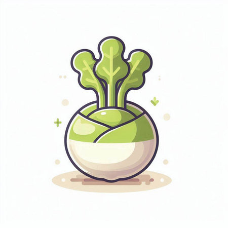 Vector illustration of a kohlrabi in a pot on a white backgroundのイラスト素材