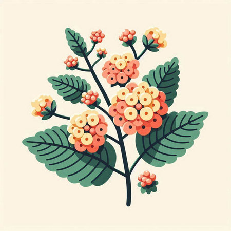 Branch of rowan with flowers and leaves. Vector illustration.のイラスト素材