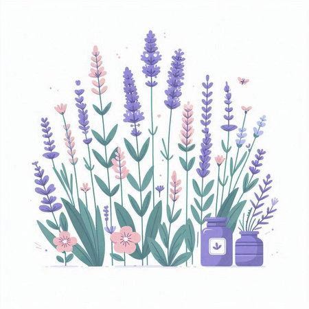 Vector illustration of lavender flowers in vintage style on white background.のイラスト素材
