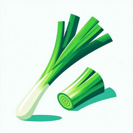 Fresh leek isolated on white background. Vector illustration. Eps 10.のイラスト素材